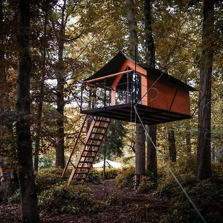 Boomkamp Treehouses Tente de luxe Oostkamp