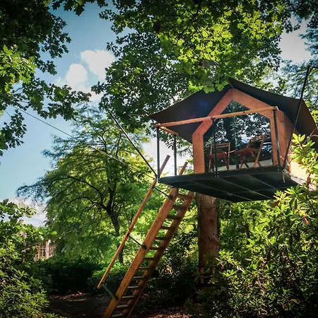 Boomkamp Treehouses Tente de luxe *