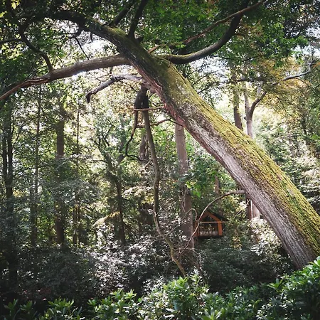 Tente de luxe Boomkamp Treehouses Oostkamp