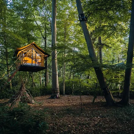 Tente de luxe Boomkamp Treehouses